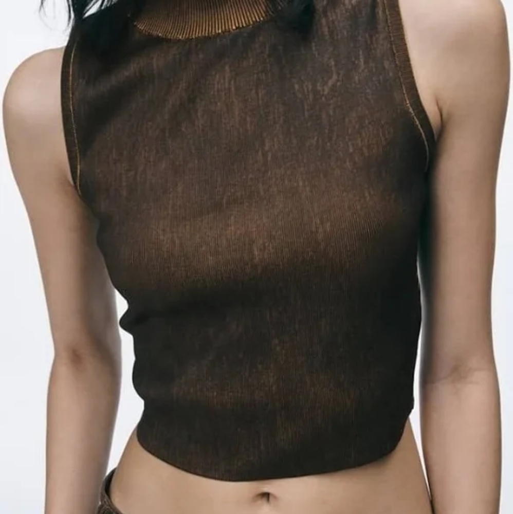 Zara Brown Sleeveless Crop Top